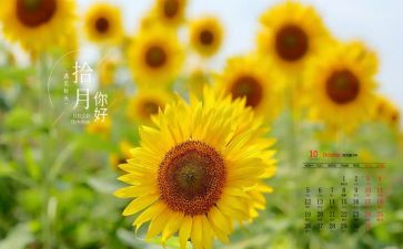 大班10月份月计划5篇