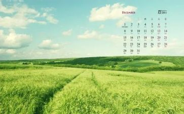 202412月转正申请书参考6篇