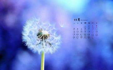 2024年12月工作总结5篇