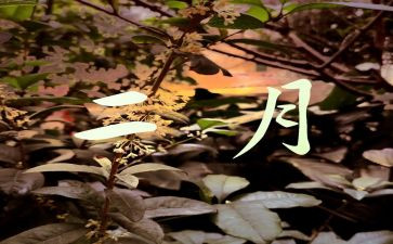 2月工作总结5篇