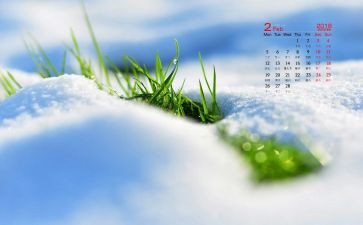 2月工作总结优质7篇