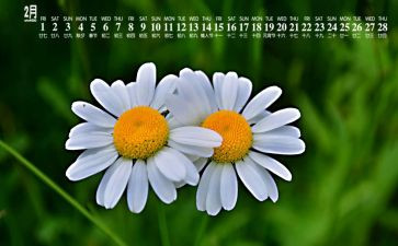 2月工作总结精选7篇