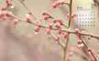 4月份保安工作计划6篇