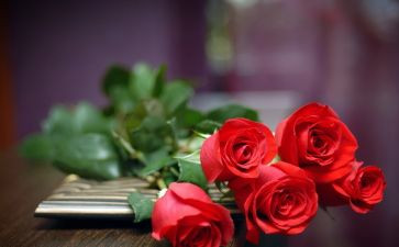 520公司活动方案6篇