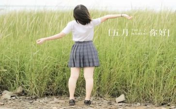 5月份教师工作总结7篇
