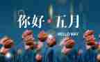 大班5月份工作总结8篇