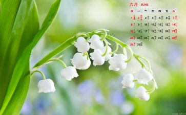 6月份的工作总结7篇