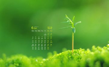 幼儿园2024年6月总结7篇