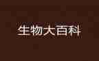 生物室个人总结范文5篇