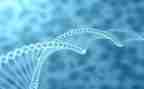 高中生物教师教学反思5篇