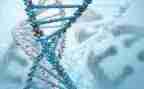 生物的学习心得5篇