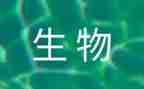 初中生物老师工作计划8篇