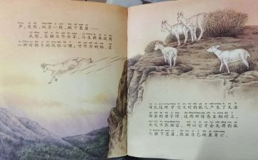 斑羚飞渡读后感模板7篇