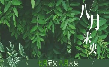 八月份销售工作总结6篇