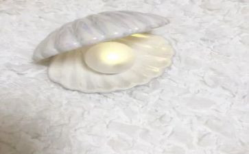 捡贝壳优秀作文7篇