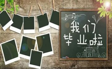 毕设学生工作总结6篇