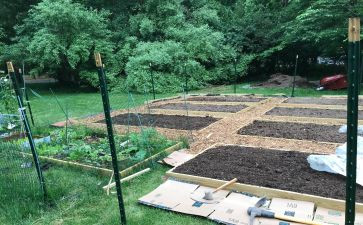 外婆的菜园作文6篇