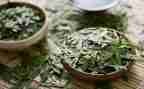 茶文化活动策划6篇