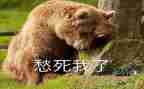 我的愁作文600字通用5篇