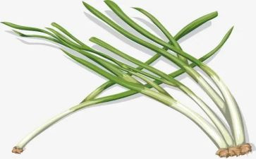 葱的种植心得7篇