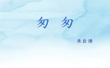 ?w匆匆读后感精选8篇