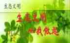环保从我做起作文7篇