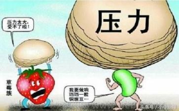 挫折的作文300字参考7篇