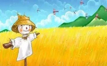 《稻草人》读书心得推荐8篇