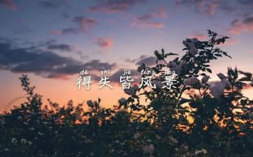得与失材料作文精选5篇