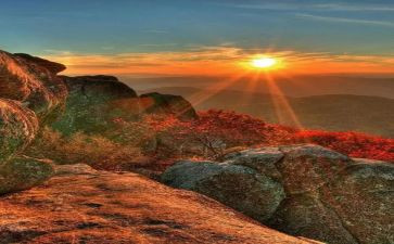 东方有龙读后感7篇