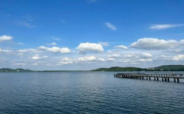 游东湖港作文参考5篇