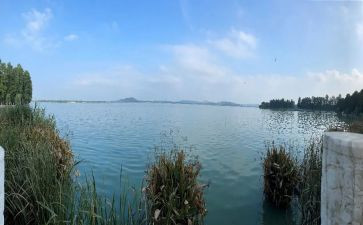 游东湖港作文6篇