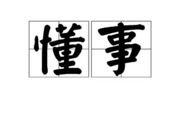 懂事的事的作文5篇