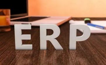 ERP工作计划8篇