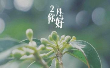 二月份个人总结7篇