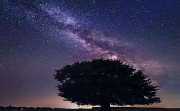 《繁星春水》读后感模板5篇