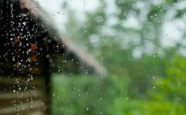 风雨后作文通用6篇