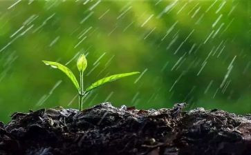 风雨中教案6篇