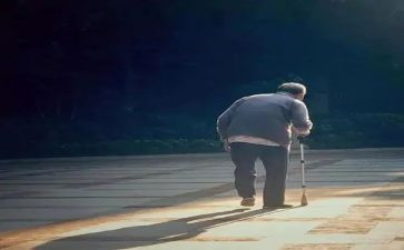 回报与付出作文6篇