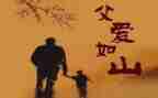 父亲的手作文600字8篇