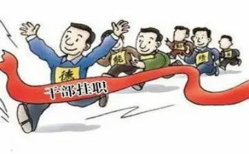 财务副职述职述报告8篇