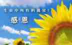 最感谢的人作文400字8篇