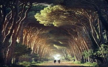 告别的优秀作文8篇