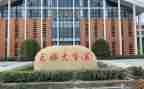 2024高校教师工作总结最新5篇