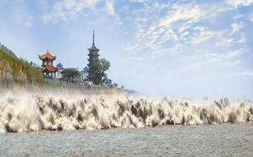 观潮后的读后感8篇