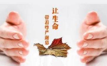 关怀心得体会7篇