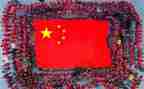 小学升国旗国旗讲话稿精选5篇