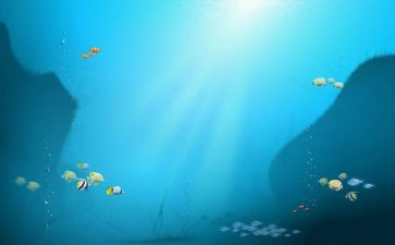 海底《海底两万里》读后感400字通用8篇