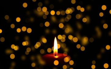 秋天的怀念读后感模板7篇