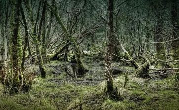 《荒野求生》读后感8篇